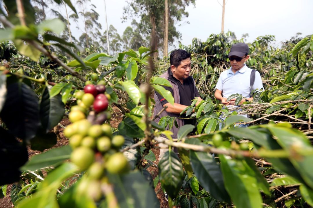 Boosting Regional Economic Growth, Jamkrindo Guarantees Hundreds of Thousands of MSMEs in West Java